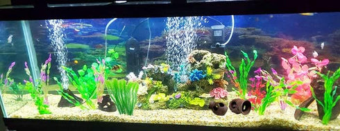 Ceramic Shelters, 2 pcs, Fish Tank Accessories, Fish House, Swim Holes Aquatic, Aquarium Cave for Freshwater and Saltwater Fish Tank, Pets to Bree...