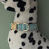 Dog Collar and Leash Set?Soft & Comfy Velvet Dog Collar and Leash with Heavy Duty Metal Buckle and D-Ring Adjustable Collars for Small Medium Larg...