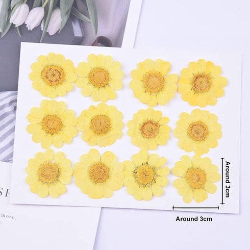 60Pcs White Dried Daisy Pressed Flowers - YouthBro 60Pcs Real Nature Flowers Set for Resin DIY Jewelry Candle Soap Vase Making Nail Card Scrapbook...