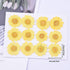 60Pcs White Dried Daisy Pressed Flowers - YouthBro 60Pcs Real Nature Flowers Set for Resin DIY Jewelry Candle Soap Vase Making Nail Card Scrapbook...