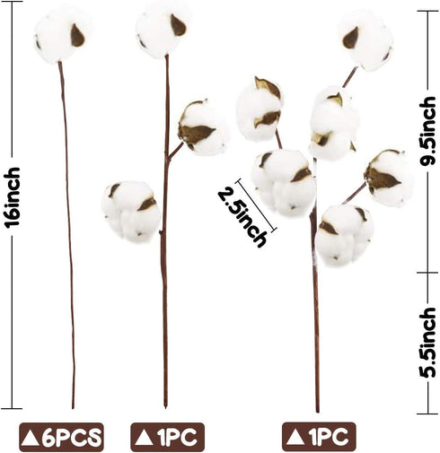 DomeStar Cotton Stems, Natural Dried Flowers 8 Packs Total 15 Bolls Cotton Sprigs Blooms Floral Stems for Vase Fillers...