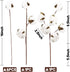 DomeStar Cotton Stems, Natural Dried Flowers 8 Packs Total 15 Bolls Cotton Sprigs Blooms Floral Stems for Vase Fillers...