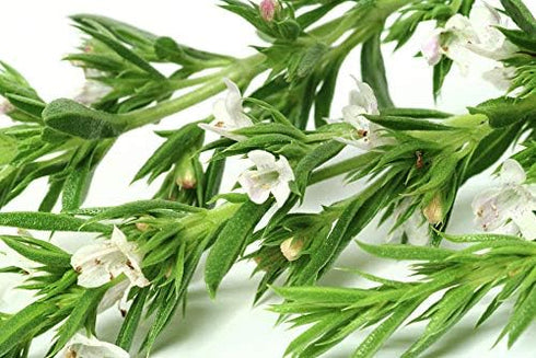 1000 Mixed Herb Seeds Heirloom Non-GMO 12 Varieties This is a Mix! Thyme Oregano Sage Tarragon Marjoram Summer Savory Basil Italian Greek Thai Dwa...