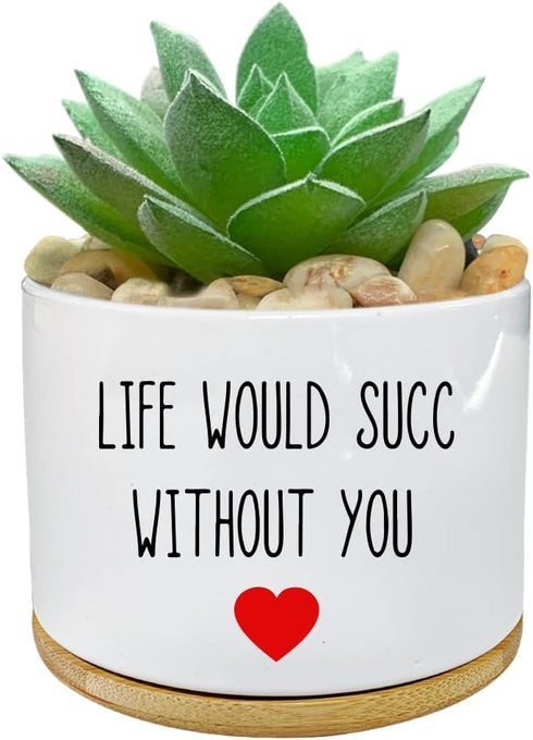 Life Would SUCC Without You - White Ceramic Engraved Mini Succulent Cactus Planter Pot, 3.5 inch Succulent Indoor Flower Plant Pots with Bamboo Tr...