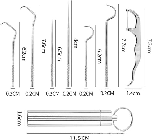 Dental Pick Portable Stainless Steel Tooth Pick Set Reusable Tooth Stains Remover Dental Tool Teeth Cleaning Tools with Holder for Outdoor Picnic,...