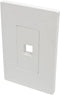 Tripp Lite Single-Gang 1-Port Universal Keystone Wall Plate, Cat5/6/6a, USB, HDMI, DisplayPort, RCA, White (N080-101)...