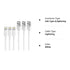 iPhone Charger AUNC 3PACK 6Feed Long Lightning to USB Charging Cable Fast Connector Data Sync Transfer Core Compatible with iPhone 14/iPhone 11/Xs...