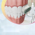 YUAN SHENG S-Shape Toothbrush Scientific Vertical Brush for Adults Men and Women Soft-Bristled Tongue Coating Interdental Brush Gums Extra Clean S...
