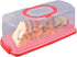 Portable Bread Box with Handle Loaf Cake Container Plastic Rectangular Food Storage Keeper Carrier 13inch Translucent Dome for Pastries, Bagels, B...