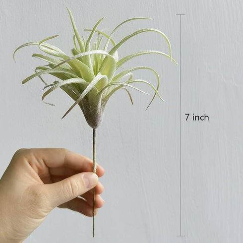 Artificial Air Plants Faux Succulents Plants Unpotted Small Tillandsia Look Real in Flocked Green Premium Crafting DIY Floral Decor for Home Garde...