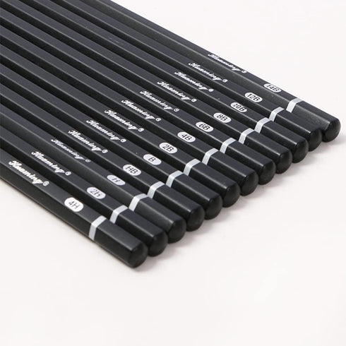 Drawing Sketch Pencils Set 4H 2H H HB B 2B 4B 6B 8B 10B 12B 14B Art Supplies for Drawing Art Sketching Shading Artist Pencils, 12 Count Black...