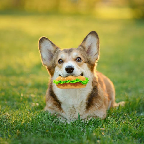 Dog Toys Squeaky Dog Toys,Interactive Dog Toys Dog Chew Toys Stuffed Dog Teething Toys for Large Medium Small Dog,Fast Food Dog Toys Squeaky Toys ...