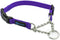 Max and Neo Stainless Steel Chain Martingale Collar - We Donate a Collar to a Dog Rescue for Every Collar Sold (X-Small, PURPLE)...