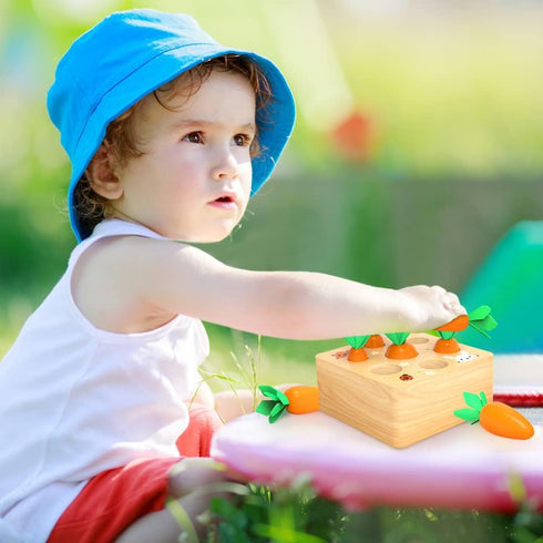 Montessori Toys for 1 Year Old, Wooden Toys Developmental Shape Sorting & Matching Puzzle Carrots Harvest Game, Birthday Gifts for Toddlers Babies...