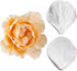 KALAIEN 5pcs Stainless Steel Peony Cutter 2pcs Fondant Silicone Mold Gumpaste Peony Sugarcraft Flower Veining Mold Veiner Petal Making Tool...