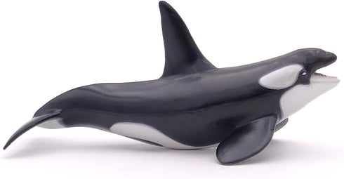 Papo - hand-painted - figurine - Marine Life - Killer Whale Figure-56000 - Collectible - For Children - Suitable for Boys and Girls - From 3 years...