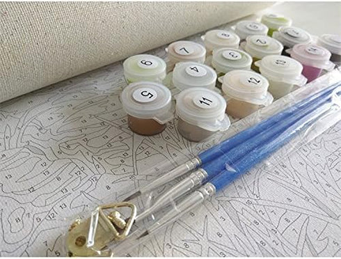 Newsight DIY Oil Painting Paintworks Paint by Number for Kids and Adults (16''Wx20''L , Peony Flower)...
