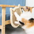 Nanu Lopez Cat Scratching Wall Pad, Premium Plush Small Scratcher Post with Hanging Ball for Indoor Cats, Durable Recyclable...