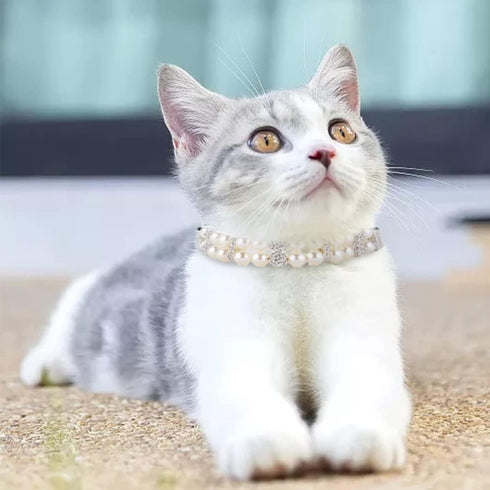 Dog Cat Pearl Collars with Crystal Rhinestone PU Leather Collars Necklace Adjustable Collar Leash Set Rope Dog Chain Cat Black Pearl Pet Collar (S...
