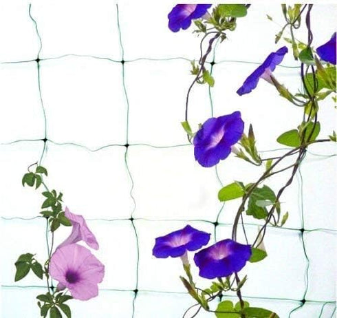 1.7 x 4 m Plastic Pea and Bean Netting - Green Garden Netting Wide Fence Trellis Netting for Fruits, Vegetables, Climbing Plants,Tomatoes,Pumpkin,...