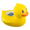 b&h Baby Thermometer, The Infant Baby Bath Floating Toy Safety Temperature Thermometer (Winking Duck)...
