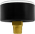 Poolzilla Back Mount Pressure Gauge | ¼” NPT Thread | Measures from 0-30PSI/0-200 KBA...