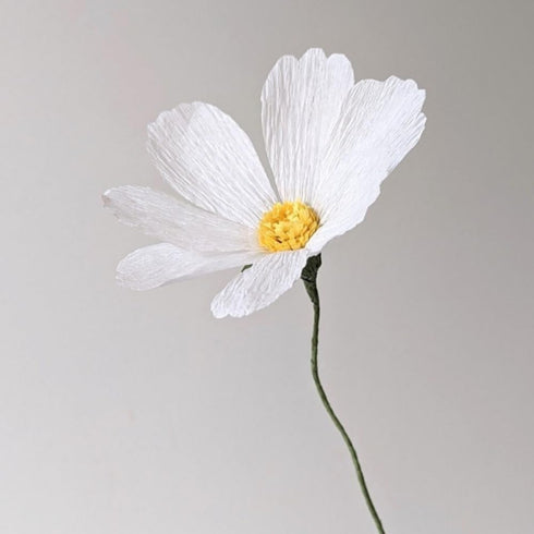 Frosty White Crepe Paper Roll - 81' (1 Count) - Great for Stunning DIY Crafts, Party Decor, and More...