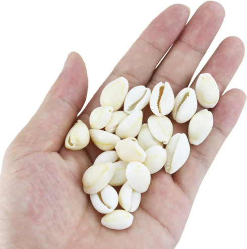 200 Pcs Natural White Cowrie Shells Bulk - 16-18mm No Holes Whole Seashells for Jewelry Making, Wedding Decor, Crafts, Beach Party Supplies (Small...