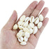 200 Pcs Natural White Cowrie Shells Bulk - 16-18mm No Holes Whole Seashells for Jewelry Making, Wedding Decor, Crafts, Beach Party Supplies (Small...