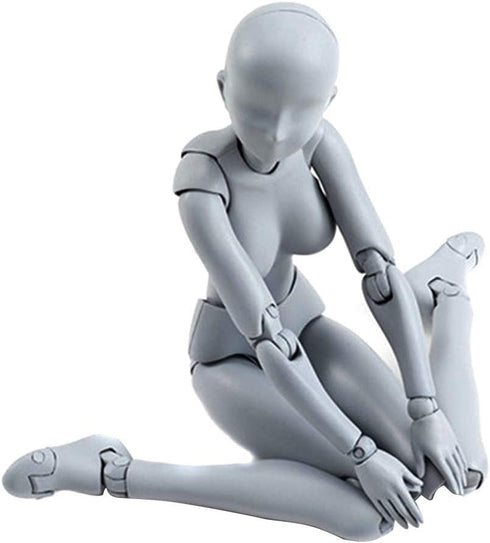 Action Figure Drawing Models, Human Mannequin Body Kun Doll Body-Chan Male/Female Action Figure DX Set, Suitable for Sketching, Painting, Drawing ...