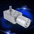 DC 12V Speed Reducing Gear Motor Reversible High Torque 12V Worm Gear Motor Female Shaft High Torque Turbo Worm Gear Box Reduction Electric Motor(...