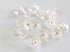 Flower Buttons for Sewing 15/32 Inch (11.5mm) Translucent Blouse Button Craft Scrapbooking White Color Pack of 30pcs...