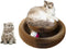 Magic Organ Cat Scratcher Board Cat Ball Adventure The Ultimate Interactive Mental Physical Exercise for Indoor Cats Toy...