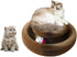 Magic Organ Cat Scratcher Board Cat Ball Adventure The Ultimate Interactive Mental Physical Exercise for Indoor Cats Toy...