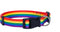 Rainbow Pet Collars for Dog or Cat - Gay Pride Dog and Cat Collars - LGBTQ Accessories for Dogs, Cats, and Pets - Pride Flag Dog and Cat Collar - ...