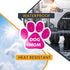 Magnet Me Up: Dog Mom Pink Pawprint Magnet Decal - 5 Inch - Heavy-Duty Automotive Magnet - Show Your Love for Dogs - Perfect for Cars, Trucks, SUV...