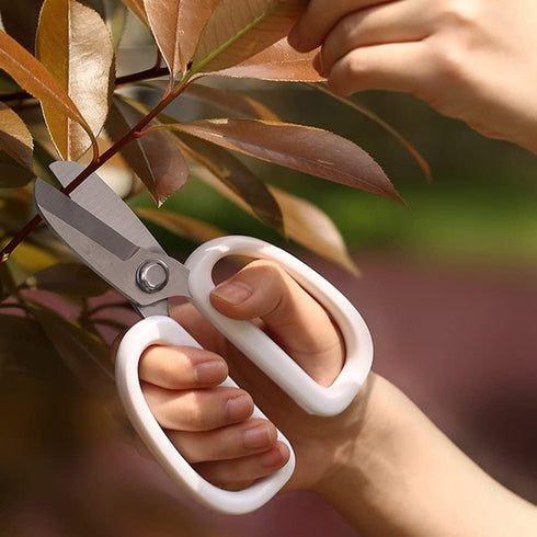 Garden Pruning Shears Scissors with Comfort Grip Handle Steel Floral Scissors Floral Shears, Perfect for Arranging Flowers, Pruning, Trimming Plan...