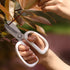 Garden Pruning Shears Scissors with Comfort Grip Handle Steel Floral Scissors Floral Shears, Perfect for Arranging Flowers, Pruning, Trimming Plan...