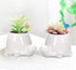 GeLive White Turtle Ceramic Succulent Planter, Tortoise Plant Pot, Windowsill Box, Animal Flower Container, Tabletop Decor with Drainage Hole (Set...