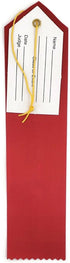2nd Place (Red) Award Ribbon with Card & String (24 Pack)...