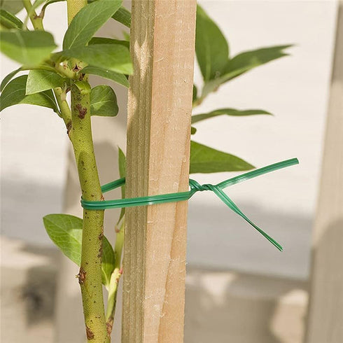 Twist Ties 66 Feet Gardening Wire Plant Green Coated Spool Dispenser Secure Cutter Indoor Outdoor Multifunction Office Organization Tomatoes Vines...