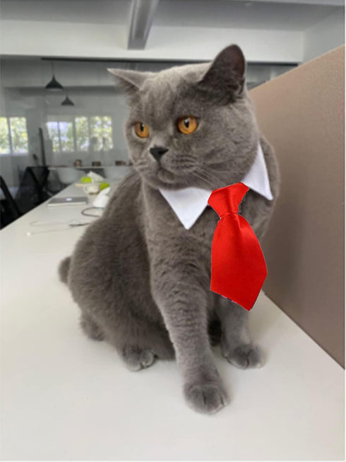 8 Pieces Pets Dog Cat Bowtie Pet Sunglasses Pet Costume Adjustable Formal Necktie Collar for Cats Small Dogs Puppy Grooming Accessories (Black/red...