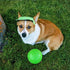 Jolly Pets 6 Inch Medium Soccer Ball Floating Bouncing Dog Toy in Apple Green...