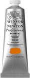 Winsor & Newton Professional Acrylic Paint, 60ml (2-oz) Tube, Gold Ochre...