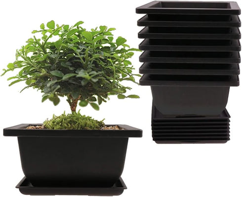 8PCS/Pack Retro Style Square Small Bonsai Training Pots with Tray, Mini Plastic Mocha Garden Flower Pot 4.7"...