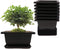 8PCS/Pack Retro Style Square Small Bonsai Training Pots with Tray, Mini Plastic Mocha Garden Flower Pot 4.7"...