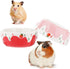 2 Pcs Hamster Ceramic Bowl, Small Animals Anti-Turning Food Water Bowl for Rabbit Hamster Guinea Pig Hedgehog Squirrel (Pink and Red)...