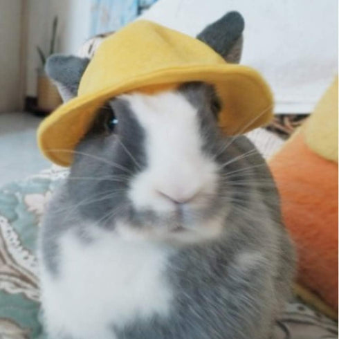 ANIAC Funny Cat Hat for Cat XXS Dog Sun Hat with Ears Hole Rabbit Outfit for Bunny Mini Sombrero Puppy Hat Party Costume Head Accessories for Kitt...