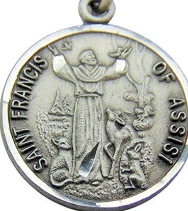 Saint Francis Pewter Medal Pendant 3/4 Inch on 24 Inch Stainless Steel Chain Gift...