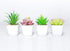 DuHouse Fake Succulents Plants Artificial Potted Faux Plant in Mini Square White Pots for Home Office Bathroom Desk Shelf Decor Set of 4(Green)...